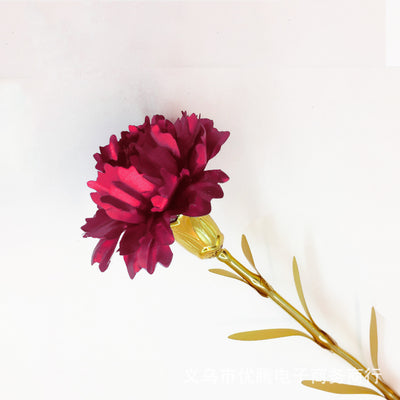 Carnation and Rose Flower Gift for Mother's Day and Teachers