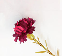 Carnation and Rose Flower Gift for Mother's Day and Teachers
