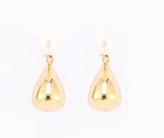 Long Shaped Water Drop French Earrings