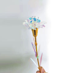 Carnation and Rose Flower Gift for Mother's Day and Teachers