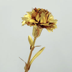 Carnation and Rose Flower Gift for Mother's Day and Teachers