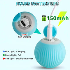 Indoor Smart Cat Play Ball